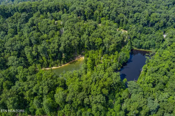 $19,999 | 119 Westridge Trail, Monterey, TN 38574