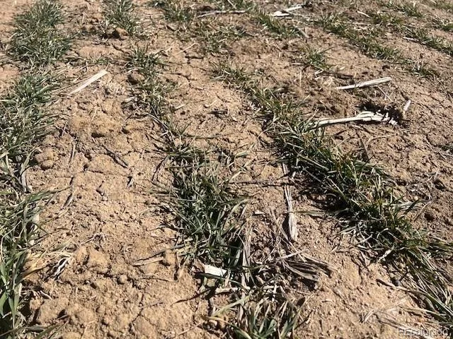 a view of an ocean beach