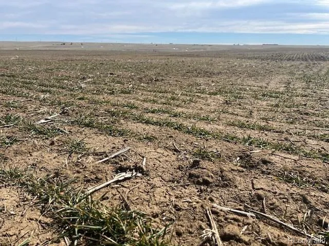 a view of an ocean beach