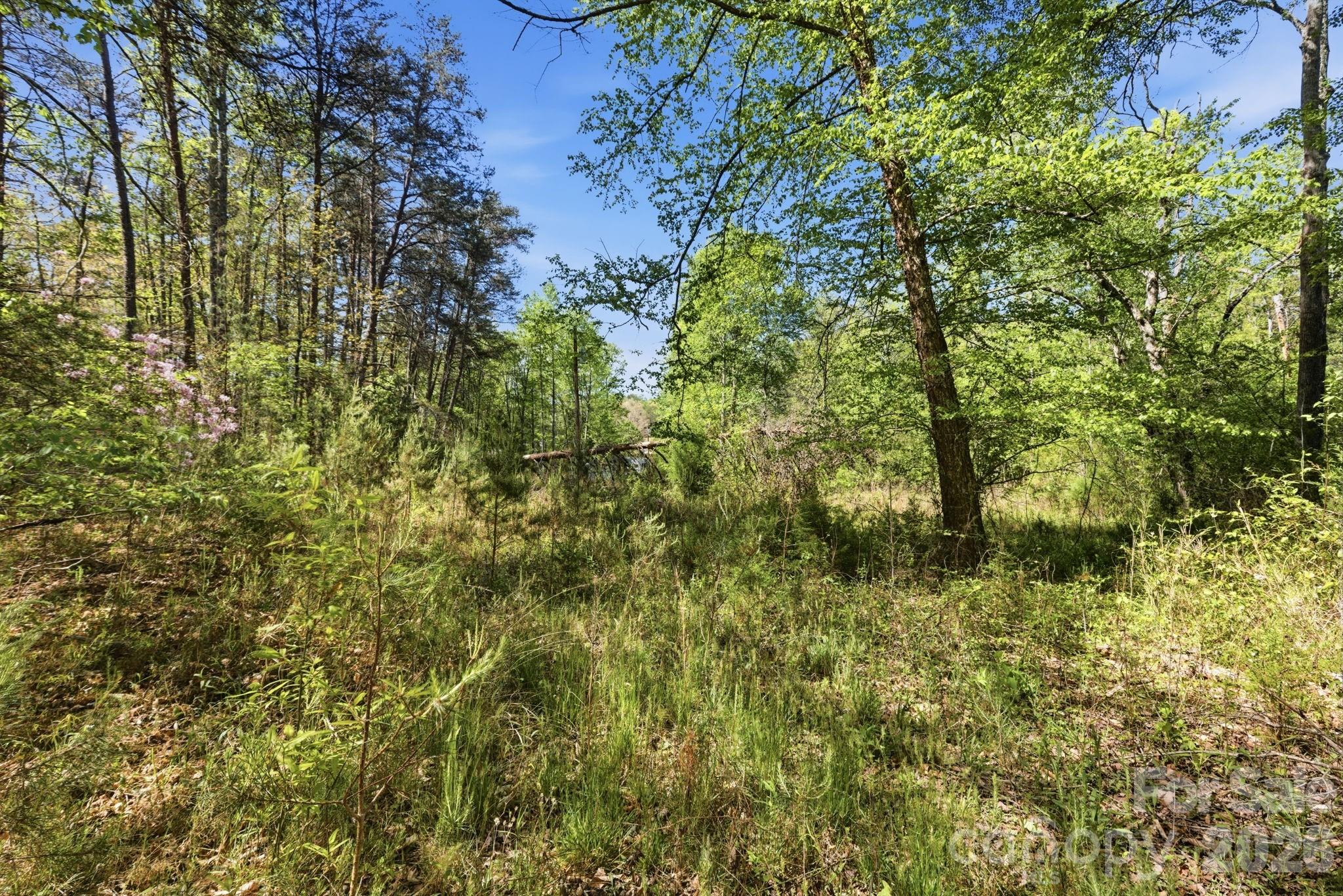 6554 Camp Meeting Road Connelly Springs, NC 28612 - Photo 11 of 20