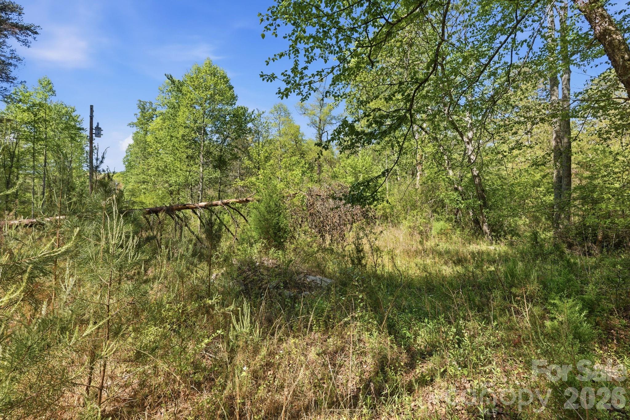 6554 Camp Meeting Road Connelly Springs, NC 28612 - Photo 14 of 20