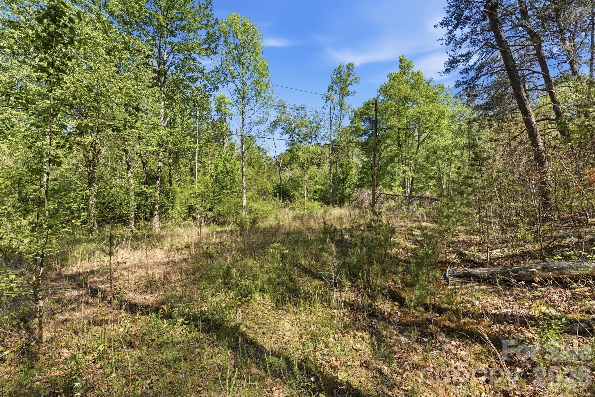 6554 Camp Meeting Road Connelly Springs, NC 28612 - Photo 15 of 20