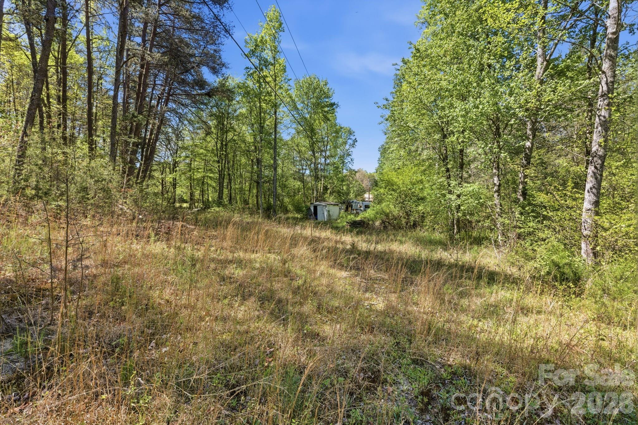 6554 Camp Meeting Road Connelly Springs, NC 28612 - Photo 16 of 20