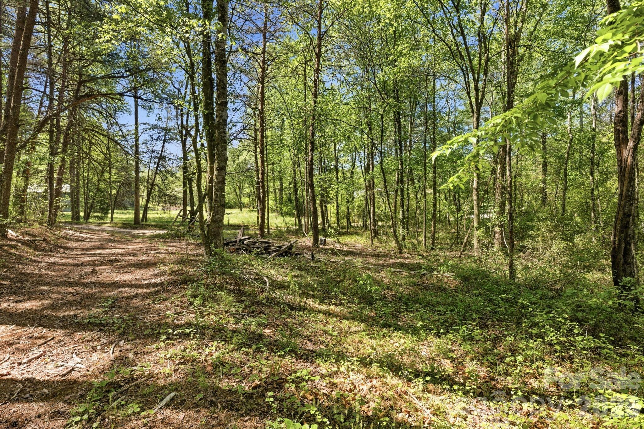 6554 Camp Meeting Road Connelly Springs, NC 28612 - Photo 17 of 20