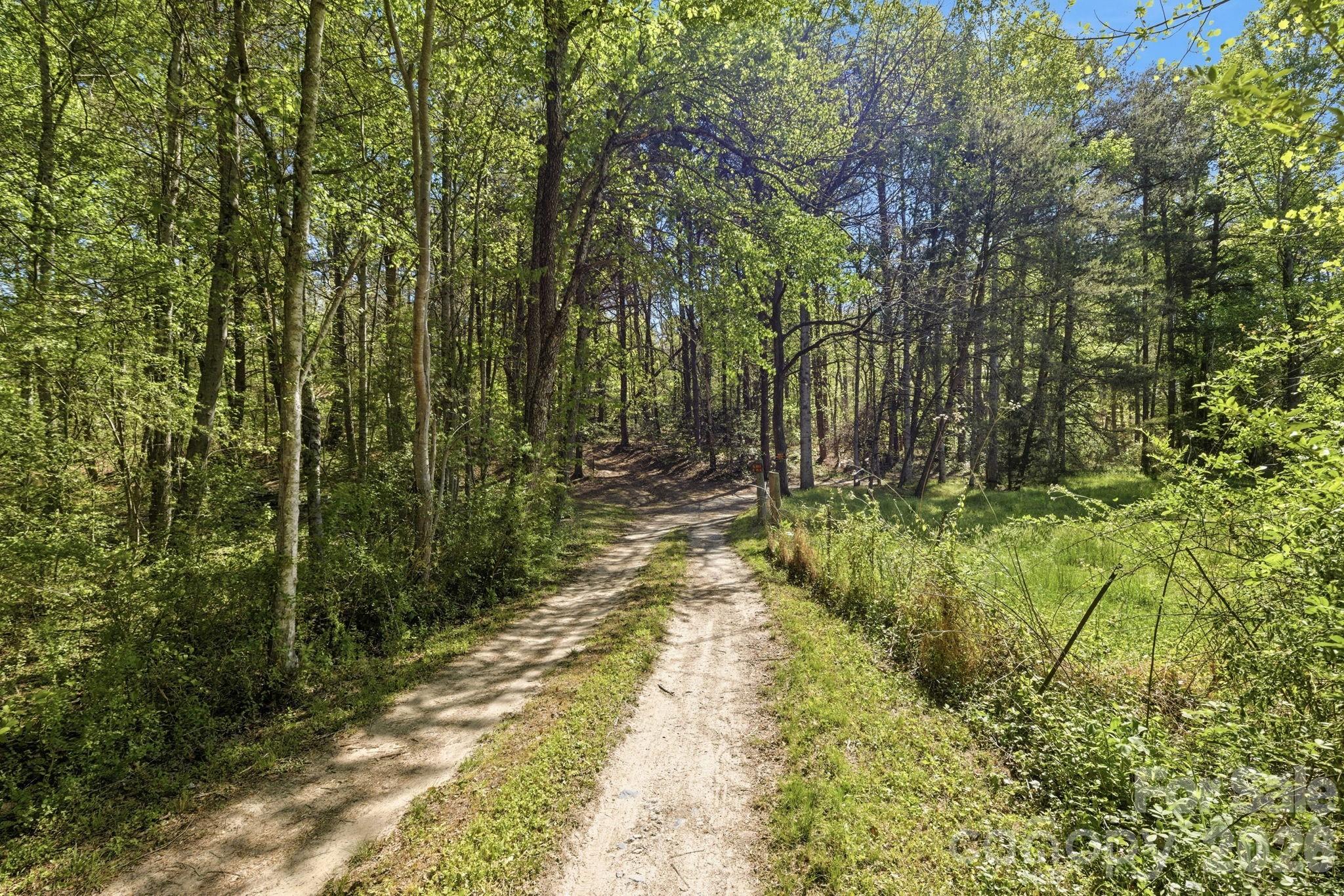 6554 Camp Meeting Road Connelly Springs, NC 28612 - Photo 3 of 20