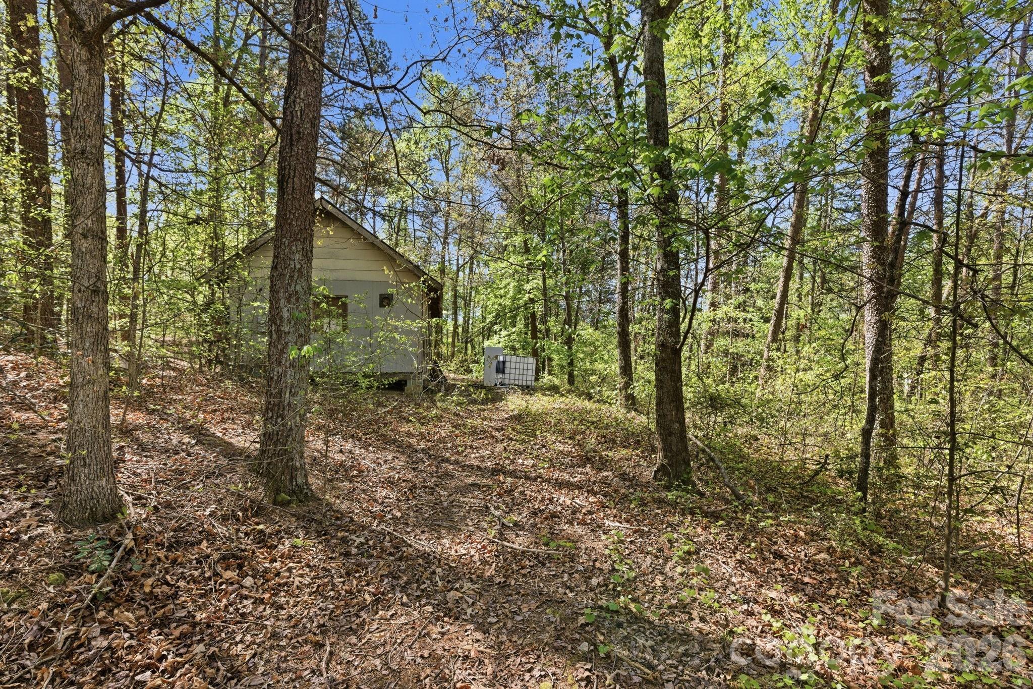 6554 Camp Meeting Road Connelly Springs, NC 28612 - Photo 5 of 20