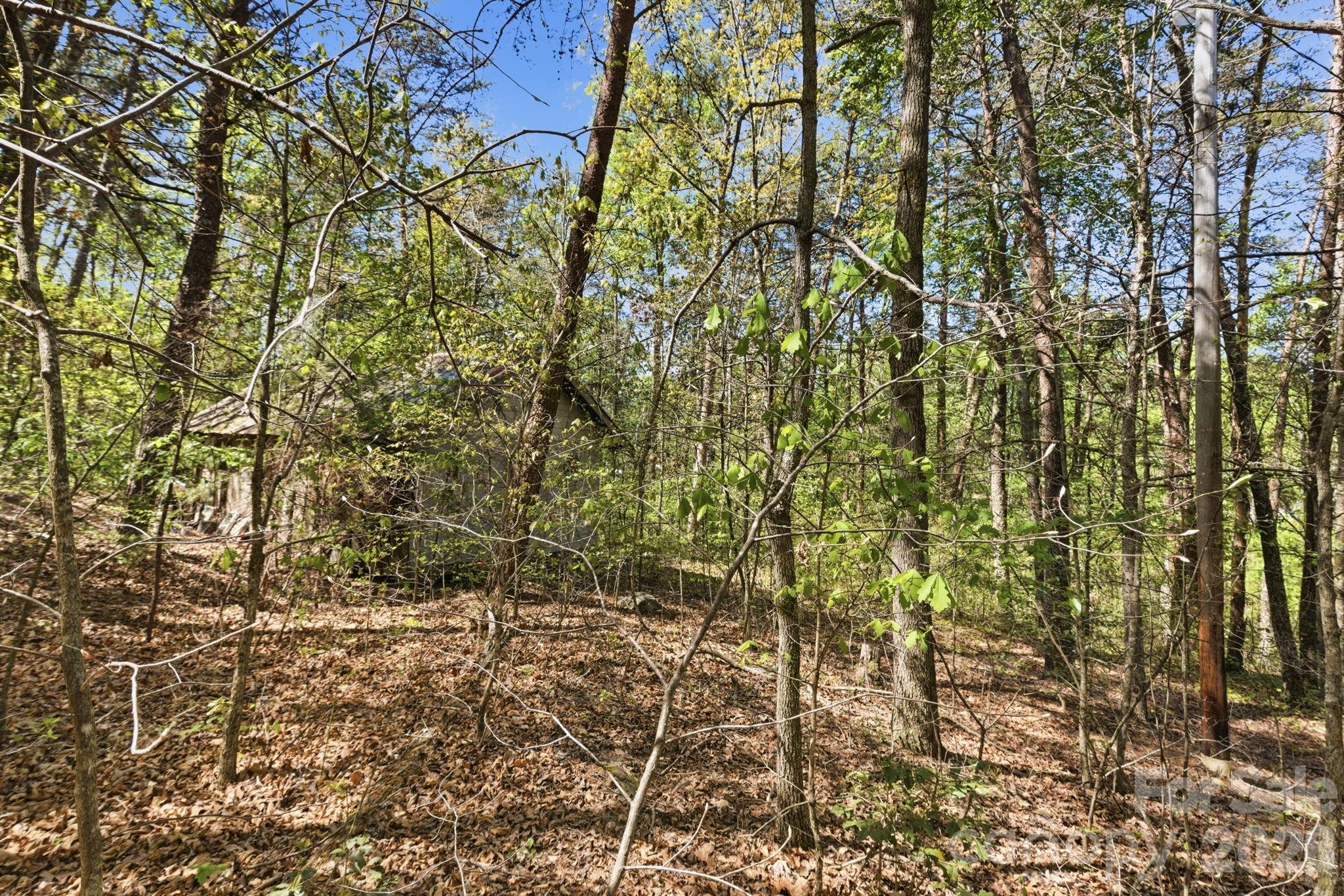 6554 Camp Meeting Road Connelly Springs, NC 28612 - Photo 6 of 20