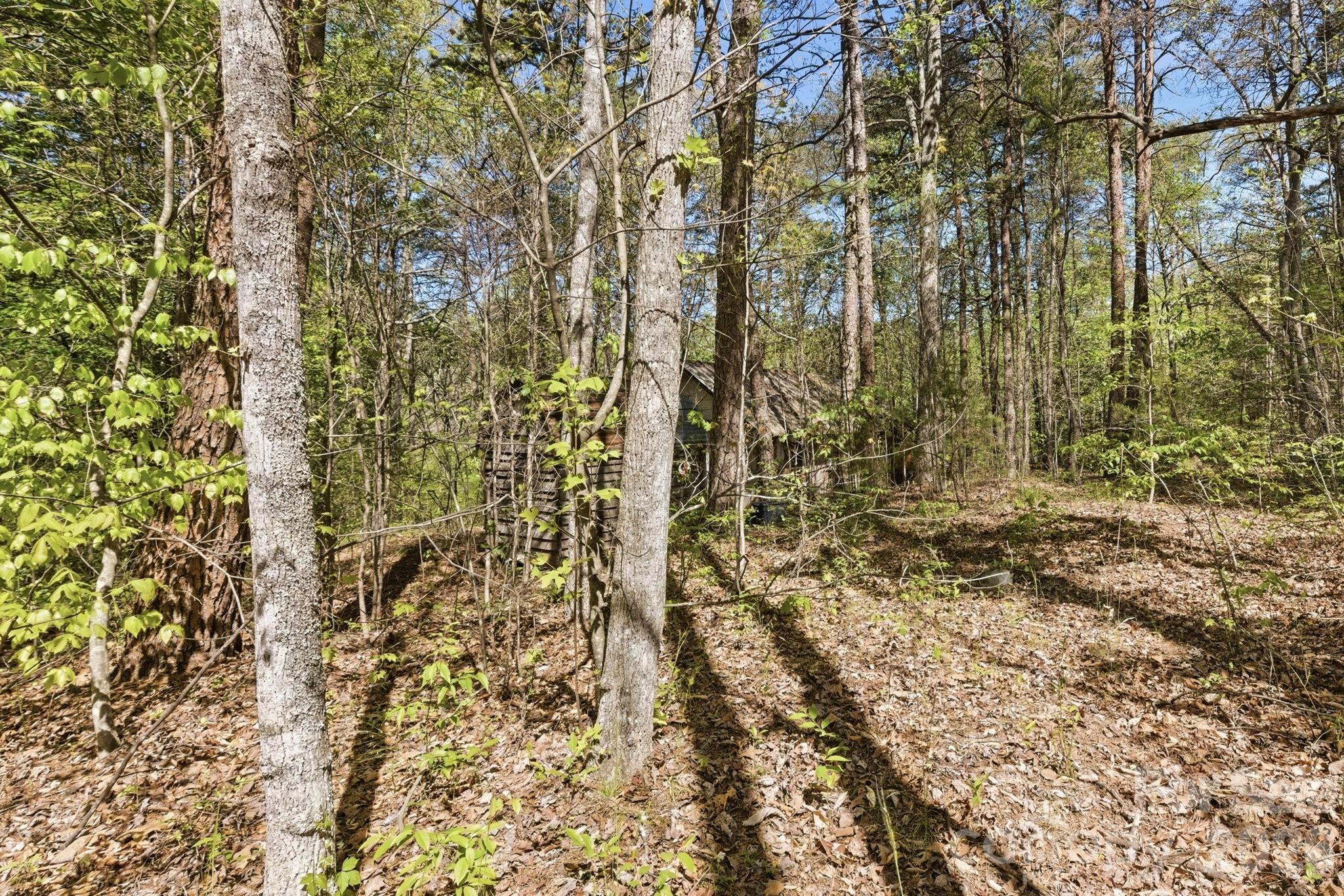 6554 Camp Meeting Road Connelly Springs, NC 28612 - Photo 7 of 20
