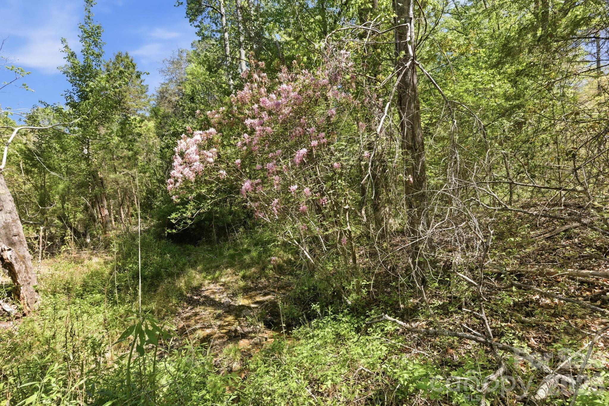 6554 Camp Meeting Road Connelly Springs, NC 28612 - Photo 8 of 20