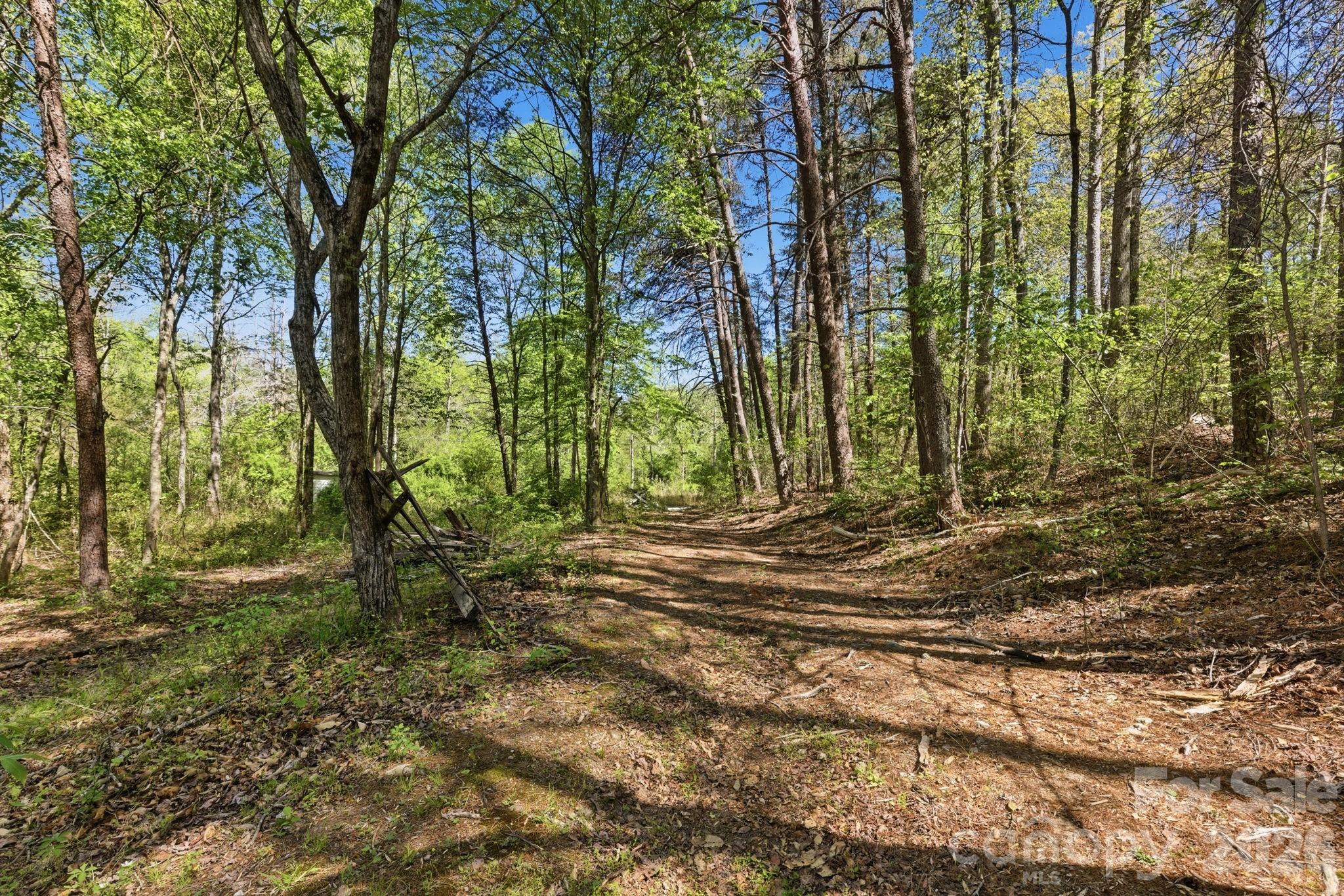 6554 Camp Meeting Road Connelly Springs, NC 28612 - Photo 9 of 20
