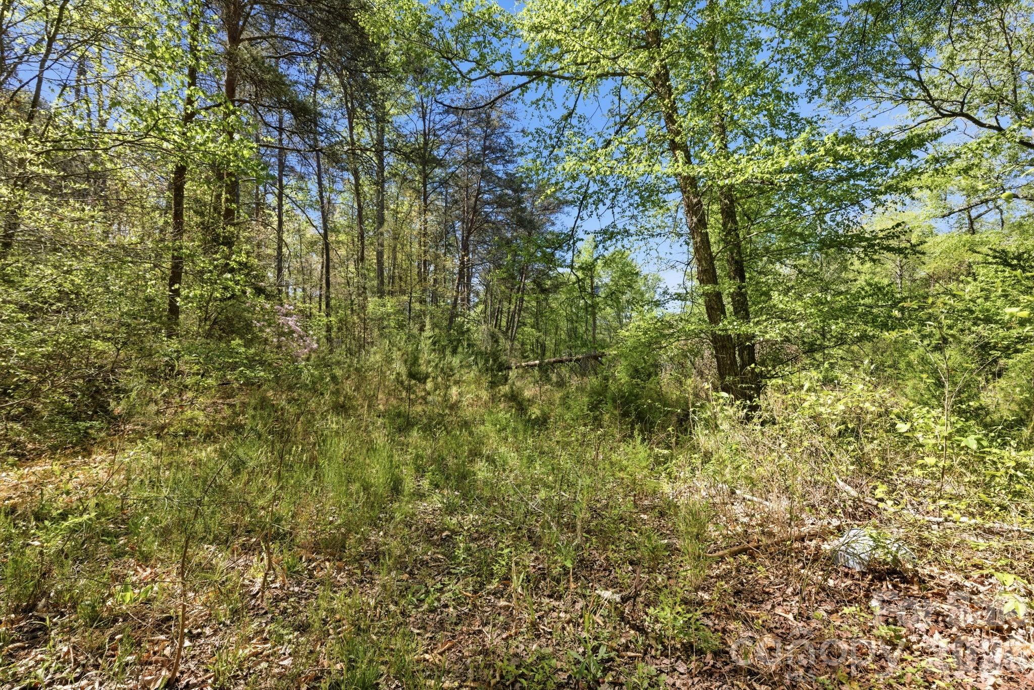 6554 Camp Meeting Road Connelly Springs, NC 28612 - Photo 10 of 20