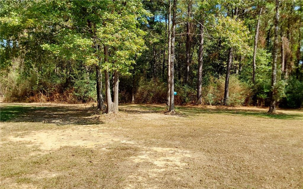 448 Nation Road Deville, LA 71328 - Photo 33 of 34