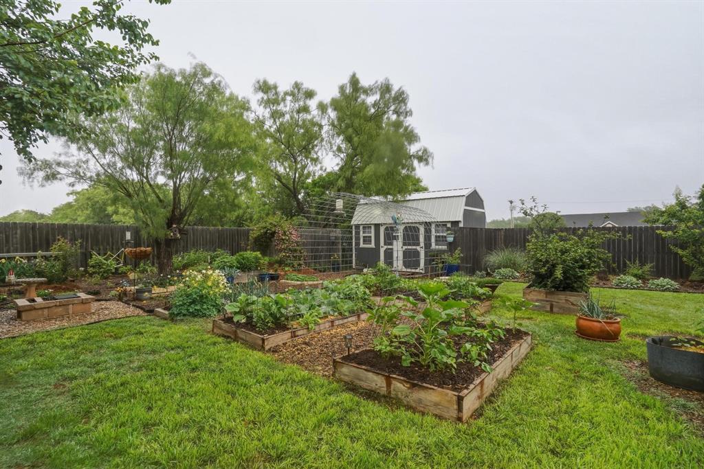 613 Jarrell Court Tuscola, TX 79562 - Photo 19 of 27 No need to go to the grocery store, you have a garden full of vegetables, berries, herbs and fruit. Even room for chickens.