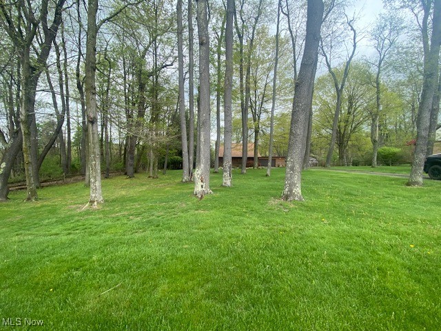 183 Trails End Road Toronto, OH 43964 - Photo 3 of 25 View of yard