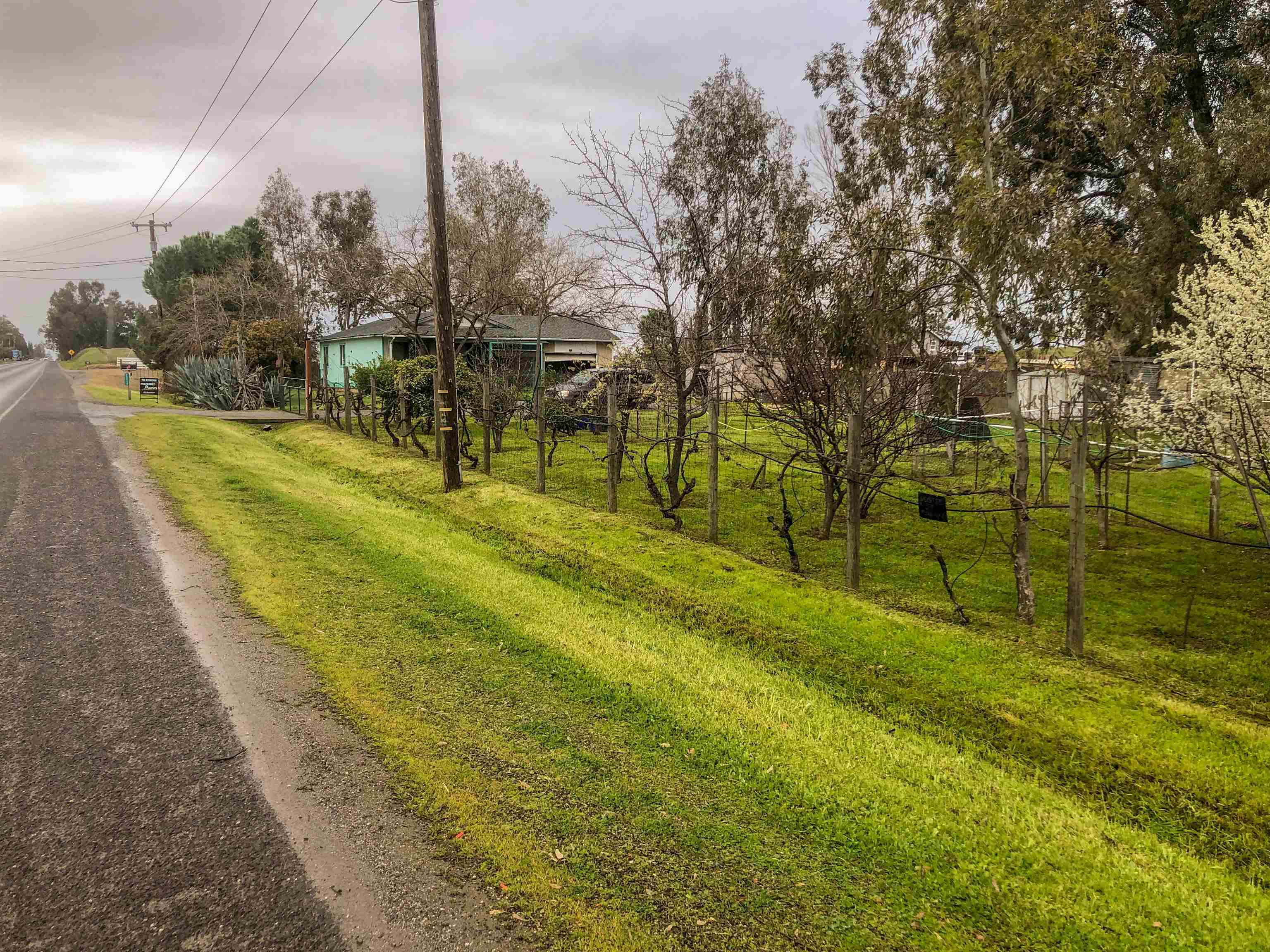 23848 Hoag Road Corning, CA 96021 - Photo 56 of 73