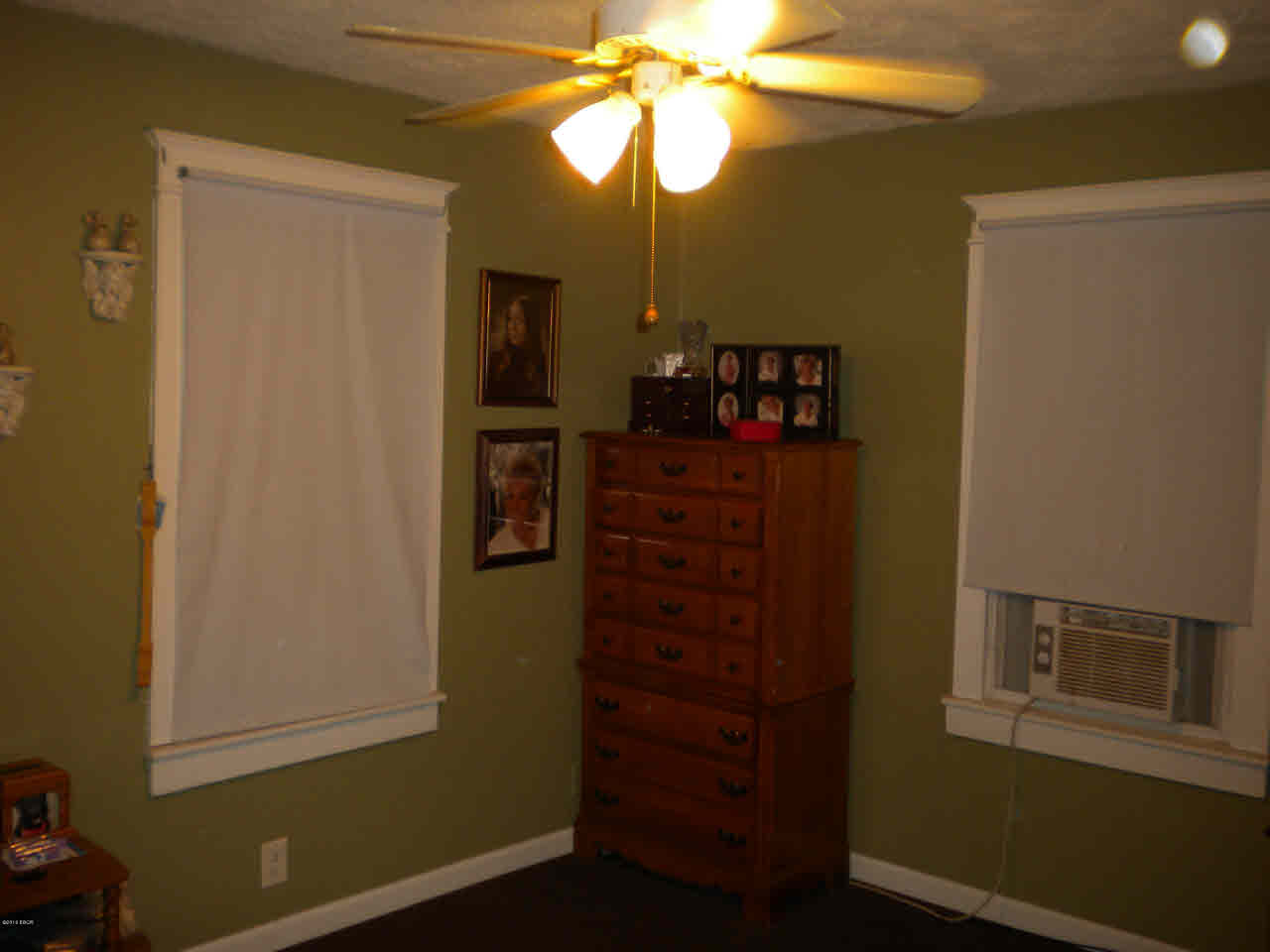 1485 Dewey Road Eldorado, IL 62930 - Photo 6 of 12 Gallery Image 6