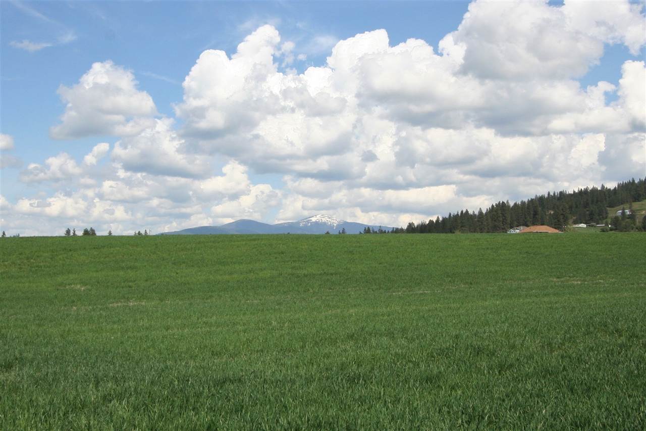 11306 East Taylor Road Mead, WA 99021 - Photo 12 of 20