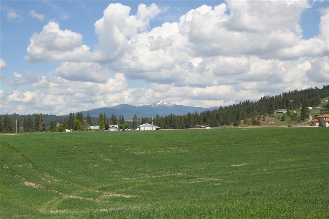 11306 East Taylor Road Mead, WA 99021 - Photo 13 of 20