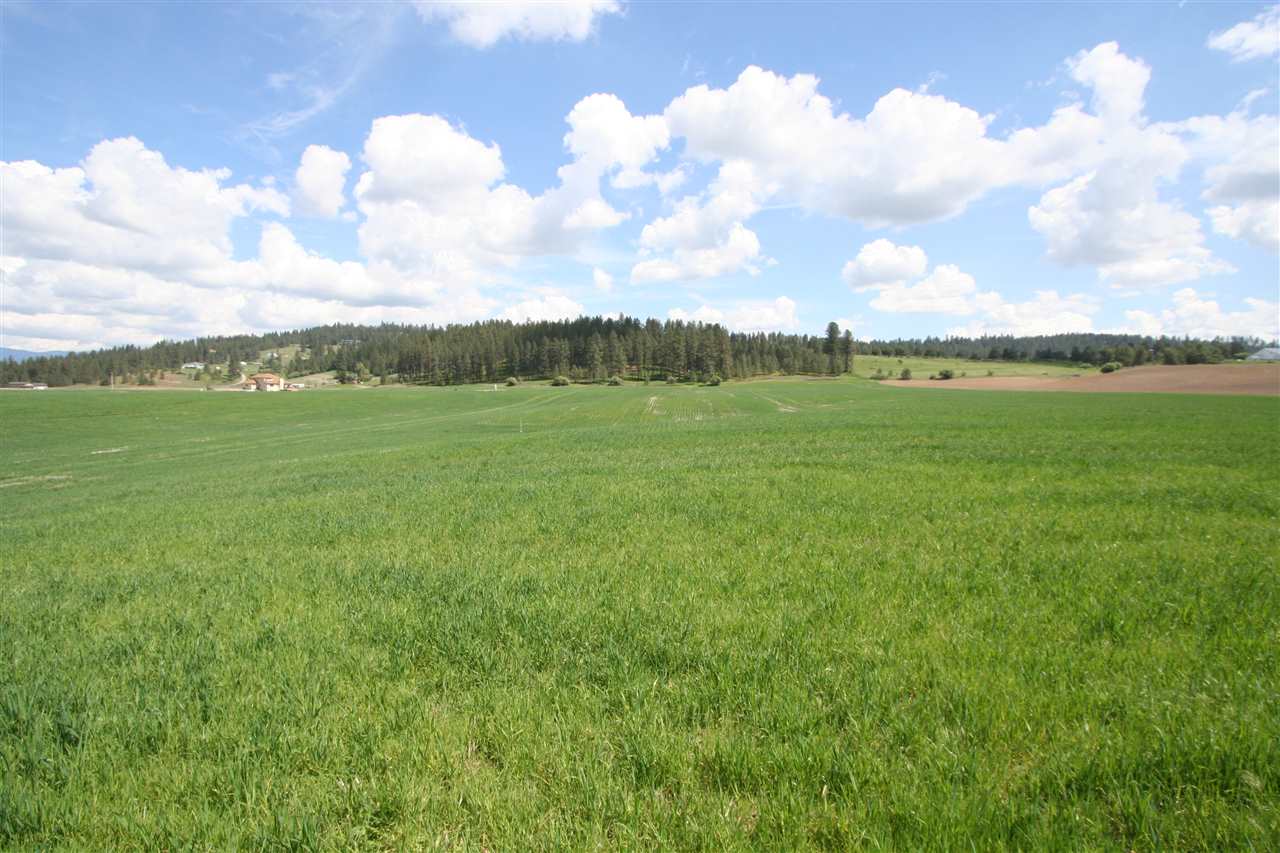 11306 East Taylor Road Mead, WA 99021 - Photo 14 of 20