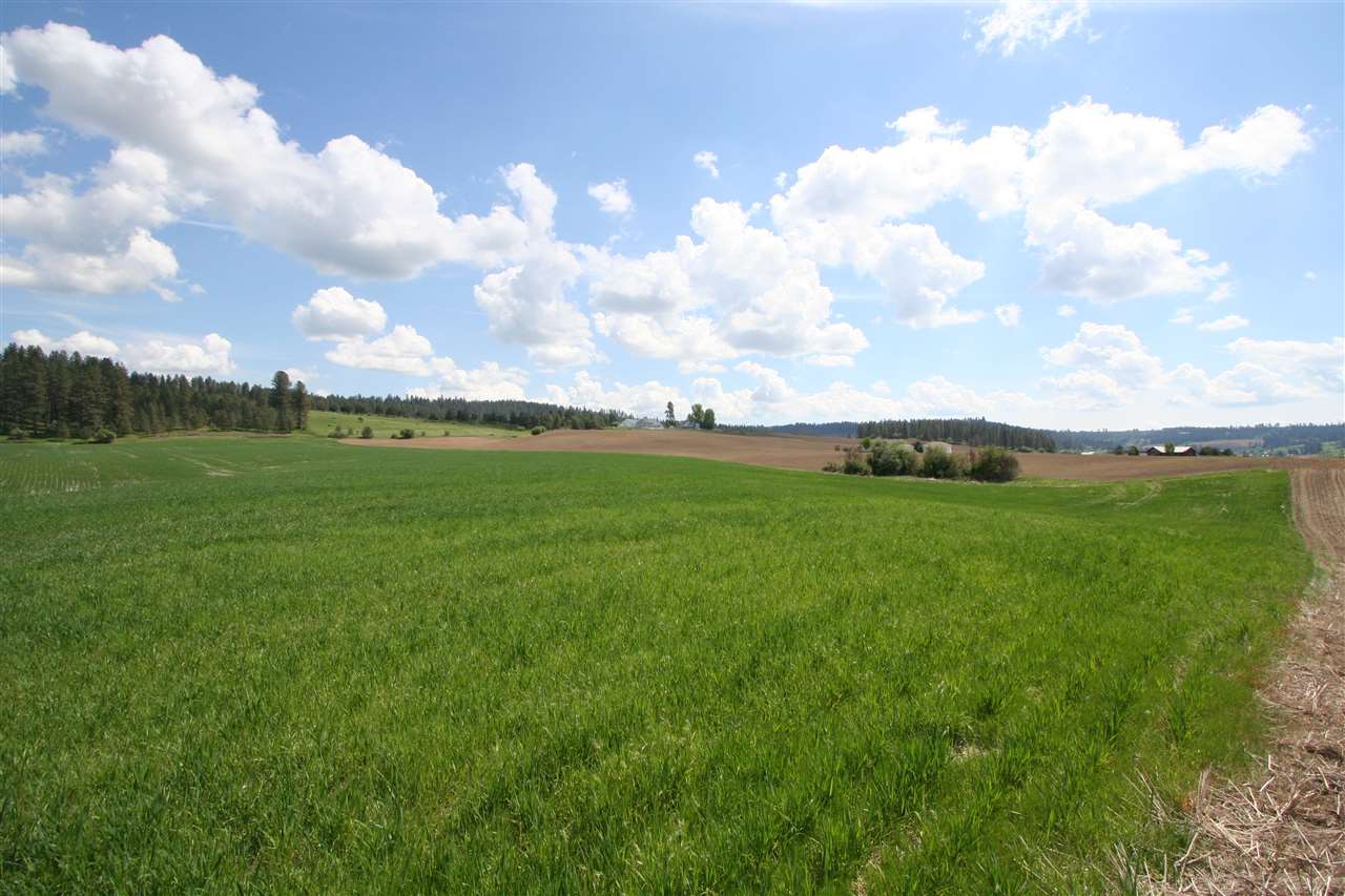 11306 East Taylor Road Mead, WA 99021 - Photo 15 of 20
