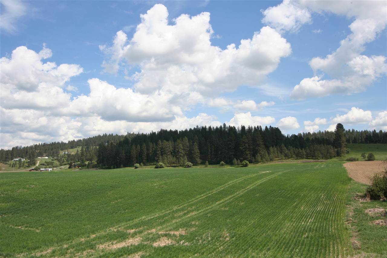 11306 East Taylor Road Mead, WA 99021 - Photo 16 of 20