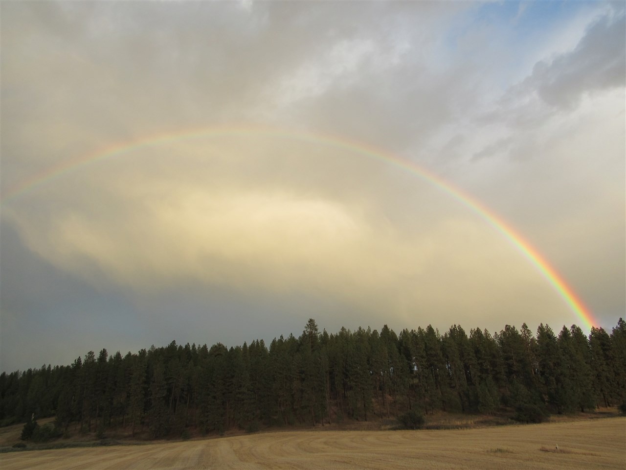 11306 East Taylor Road Mead, WA 99021 - Photo 20 of 20