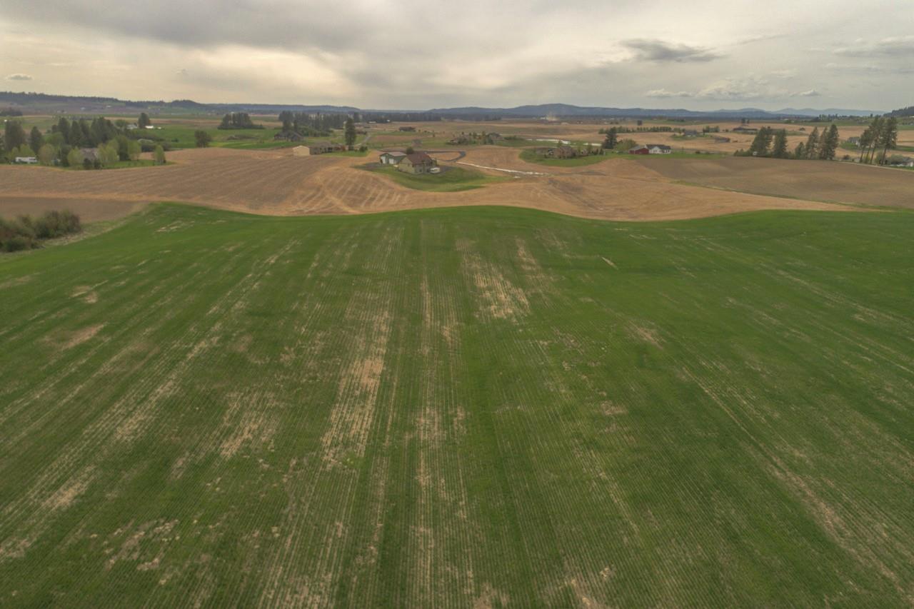 11306 East Taylor Road Mead, WA 99021 - Photo 3 of 20