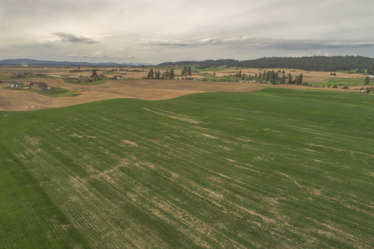11306 East Taylor Road Mead, WA 99021 - Photo 4 of 20