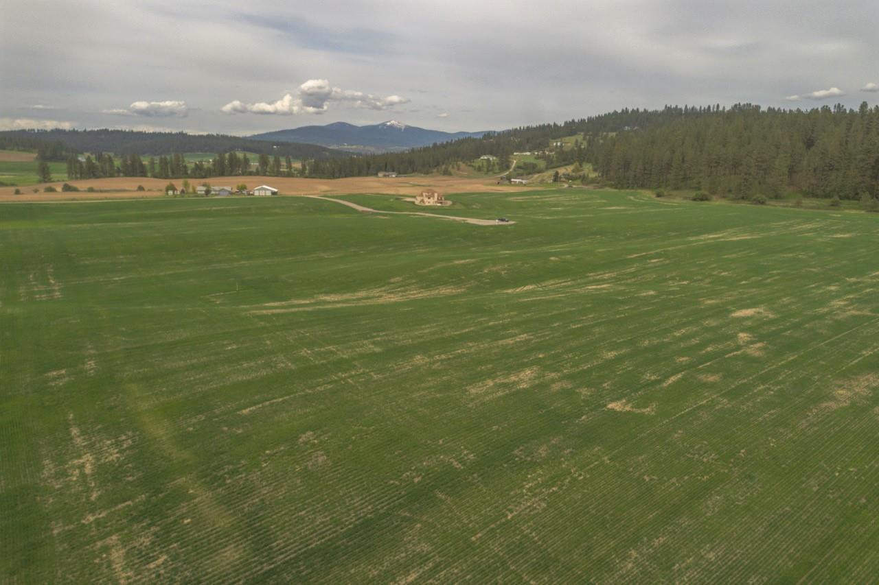 11306 East Taylor Road Mead, WA 99021 - Photo 5 of 20