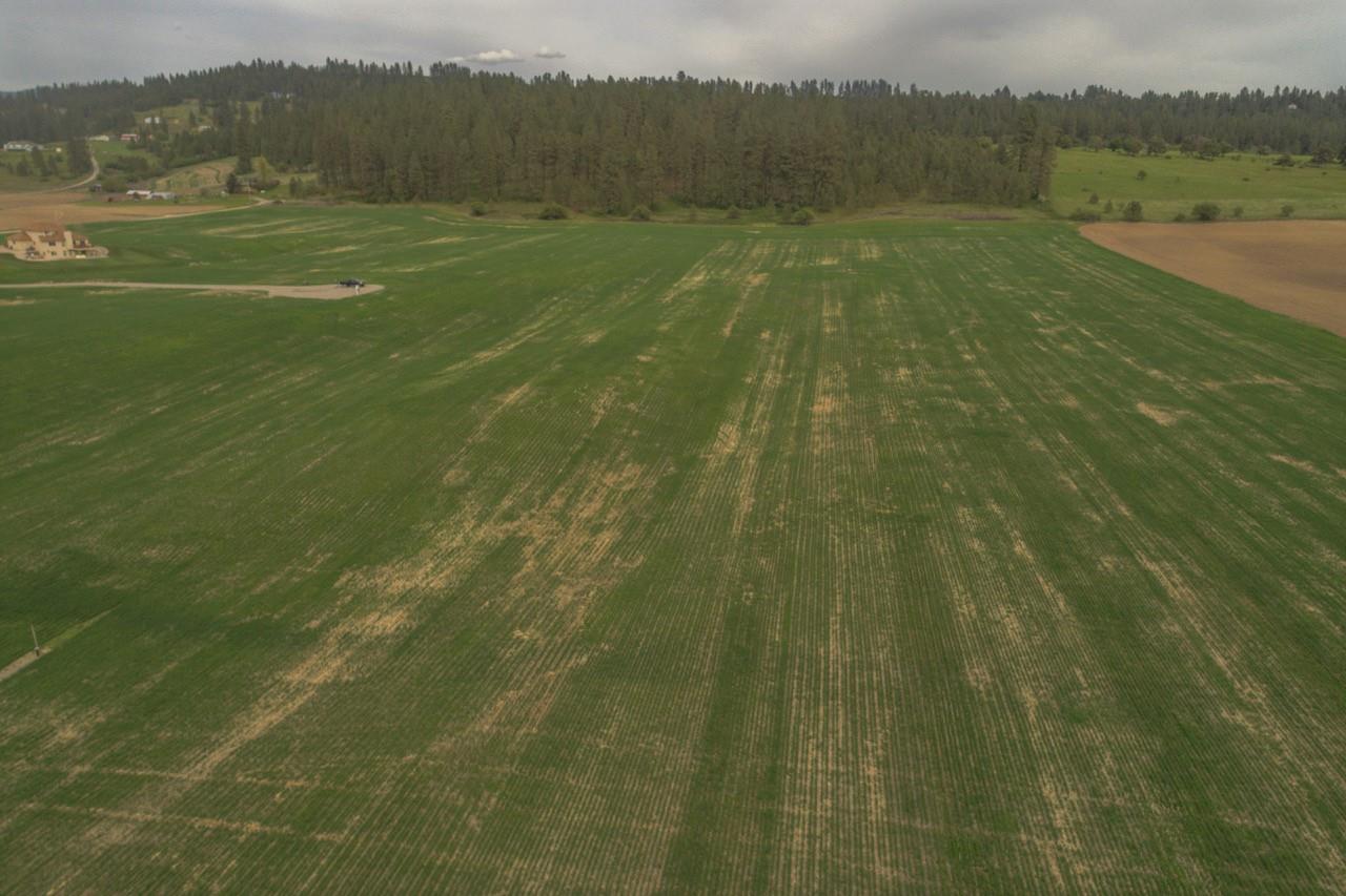 11306 East Taylor Road Mead, WA 99021 - Photo 6 of 20