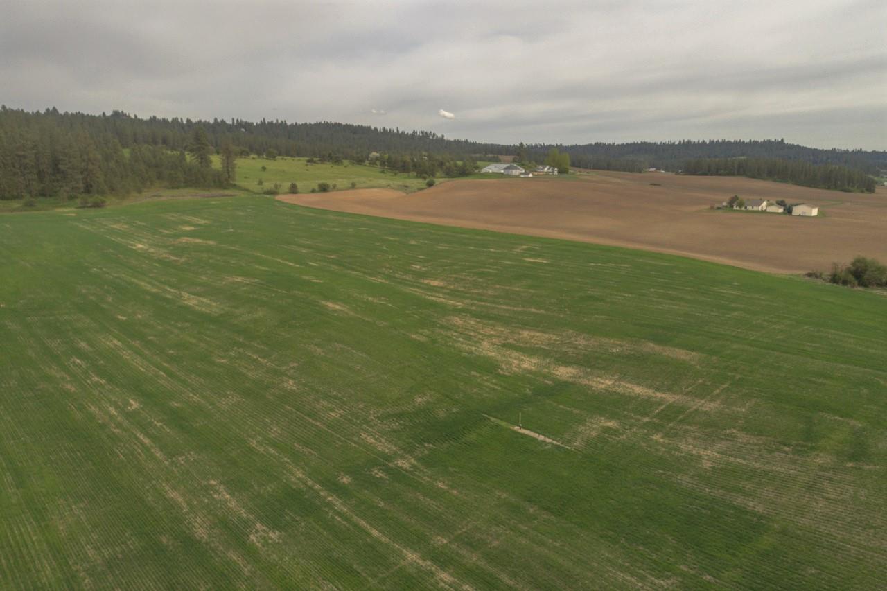 11306 East Taylor Road Mead, WA 99021 - Photo 7 of 20