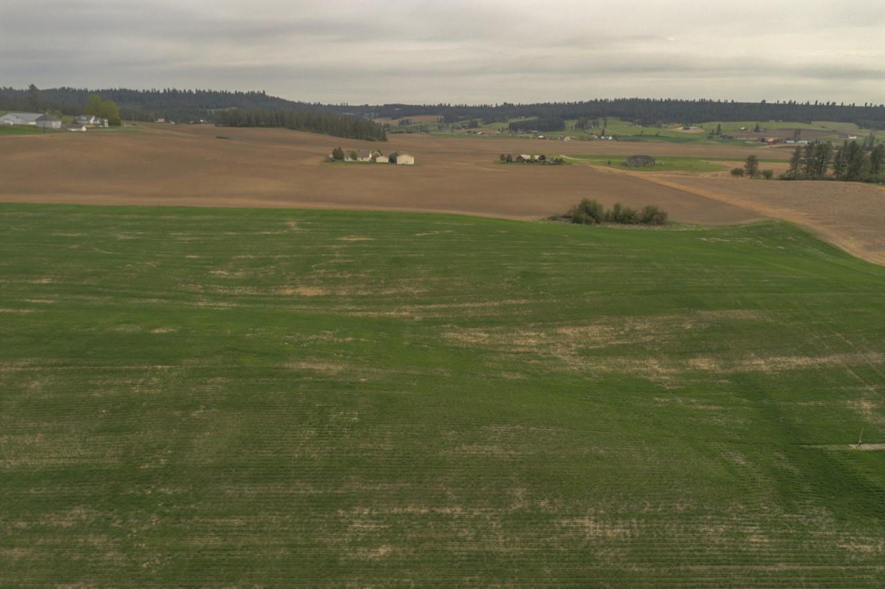 11306 East Taylor Road Mead, WA 99021 - Photo 8 of 20