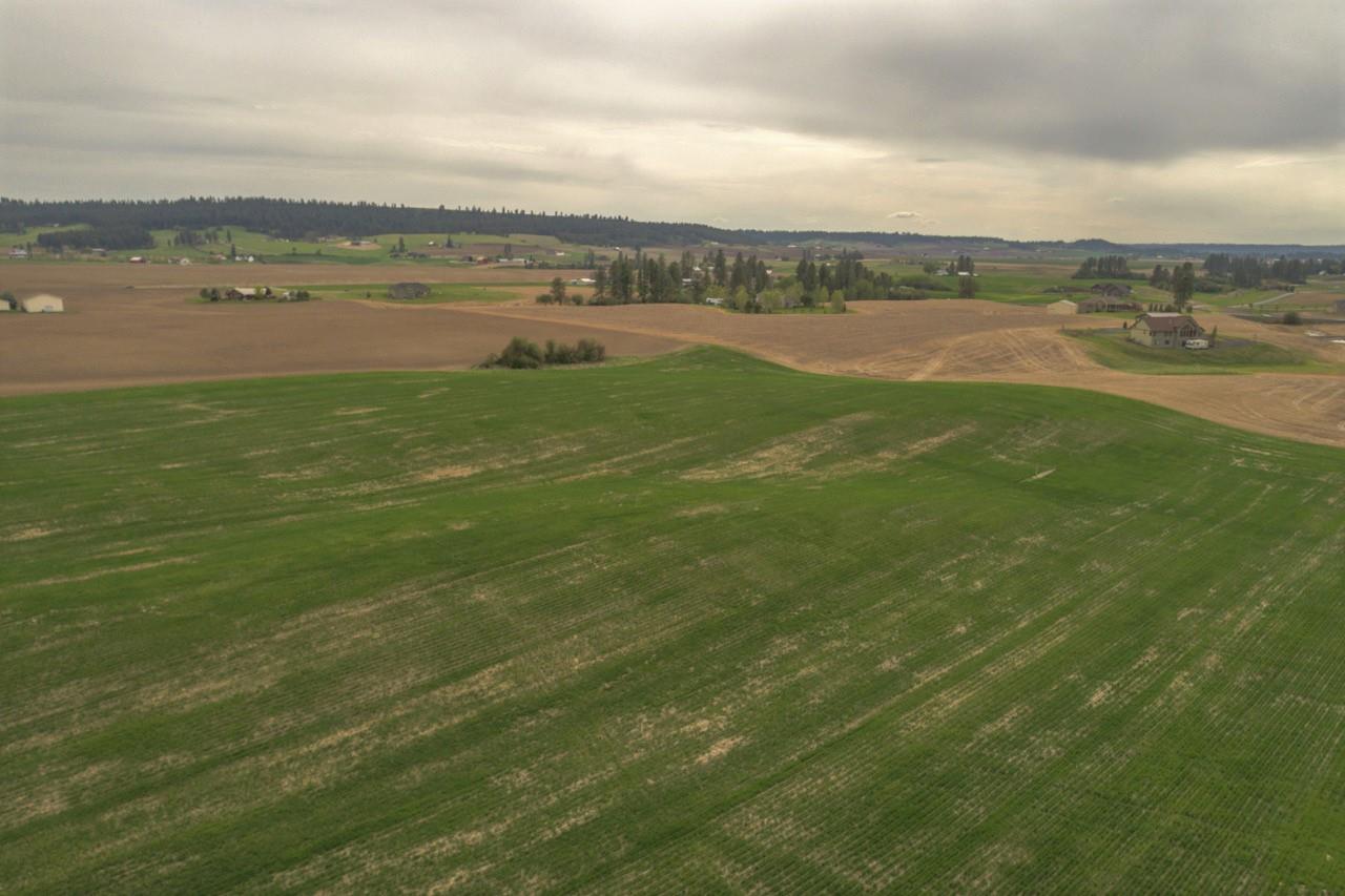 11306 East Taylor Road Mead, WA 99021 - Photo 9 of 20