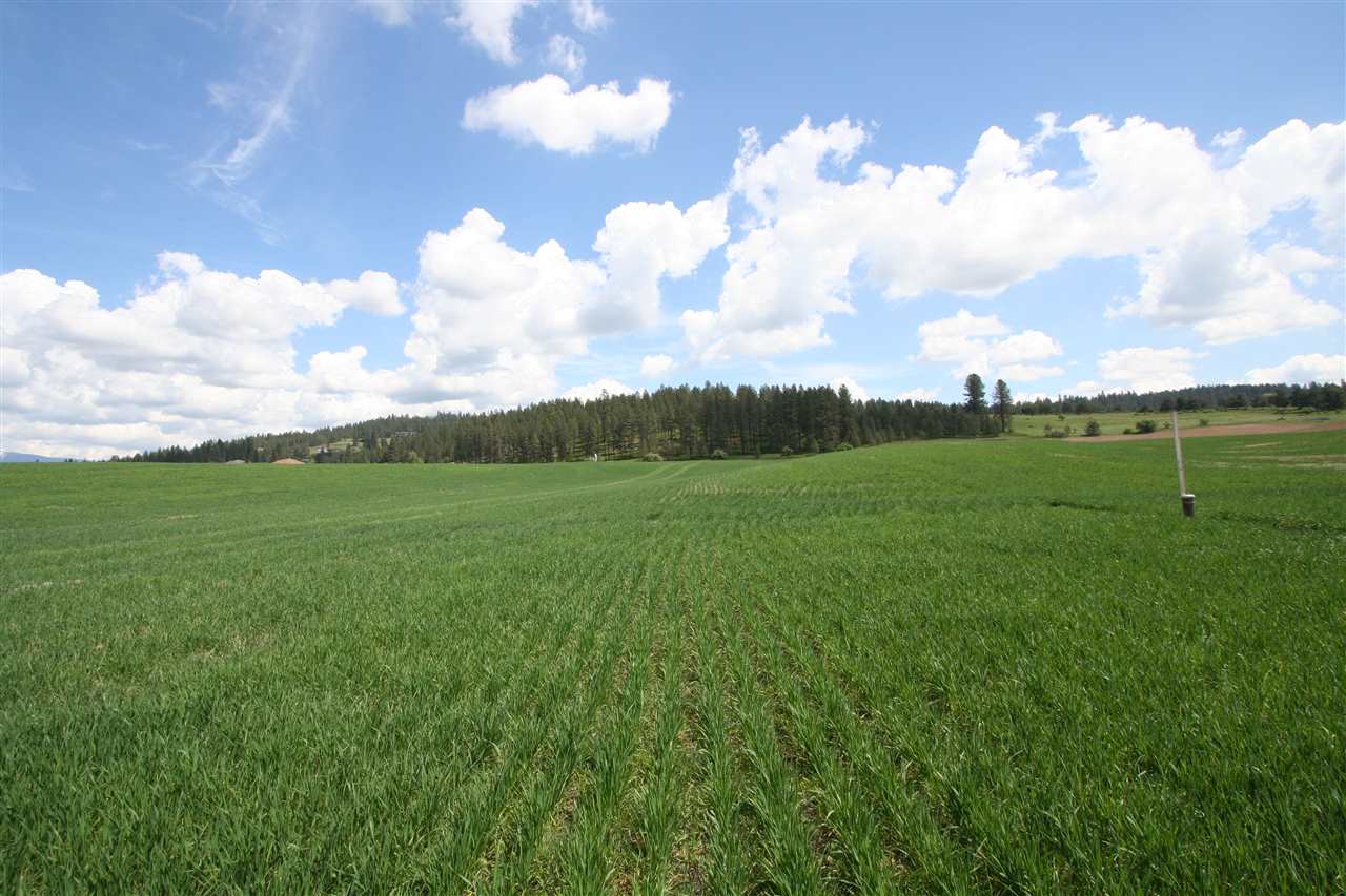 11306 East Taylor Road Mead, WA 99021 - Photo 10 of 20