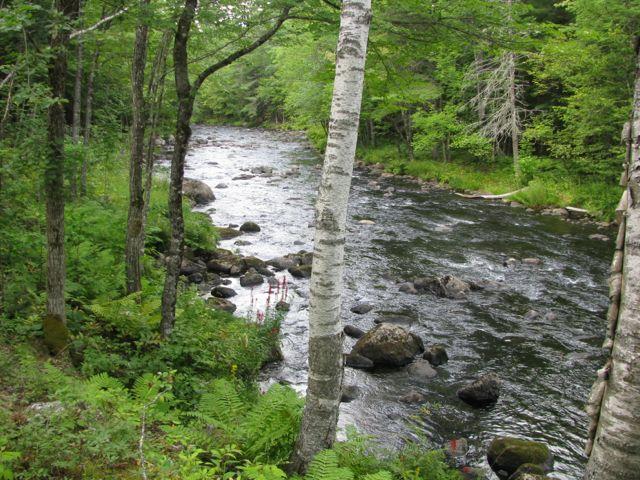 3 Weld Street Carthage, ME 04224 - Photo 21 of 24 IMG_3124