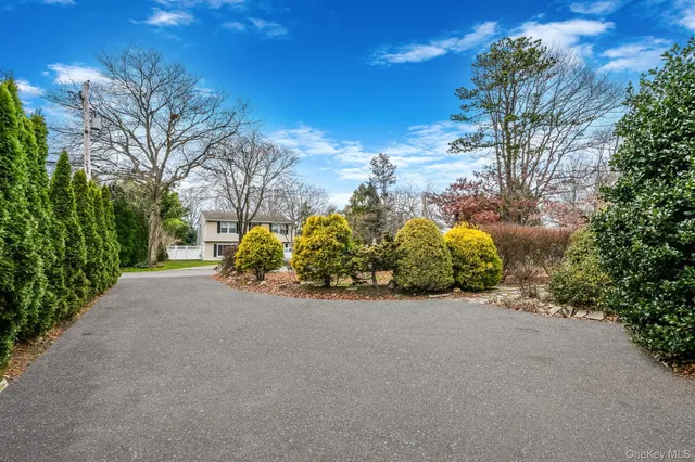 a view of a street with some trees