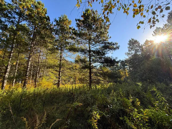 $70,000 | Xxx 540th Lane, Palisade, MN 56469