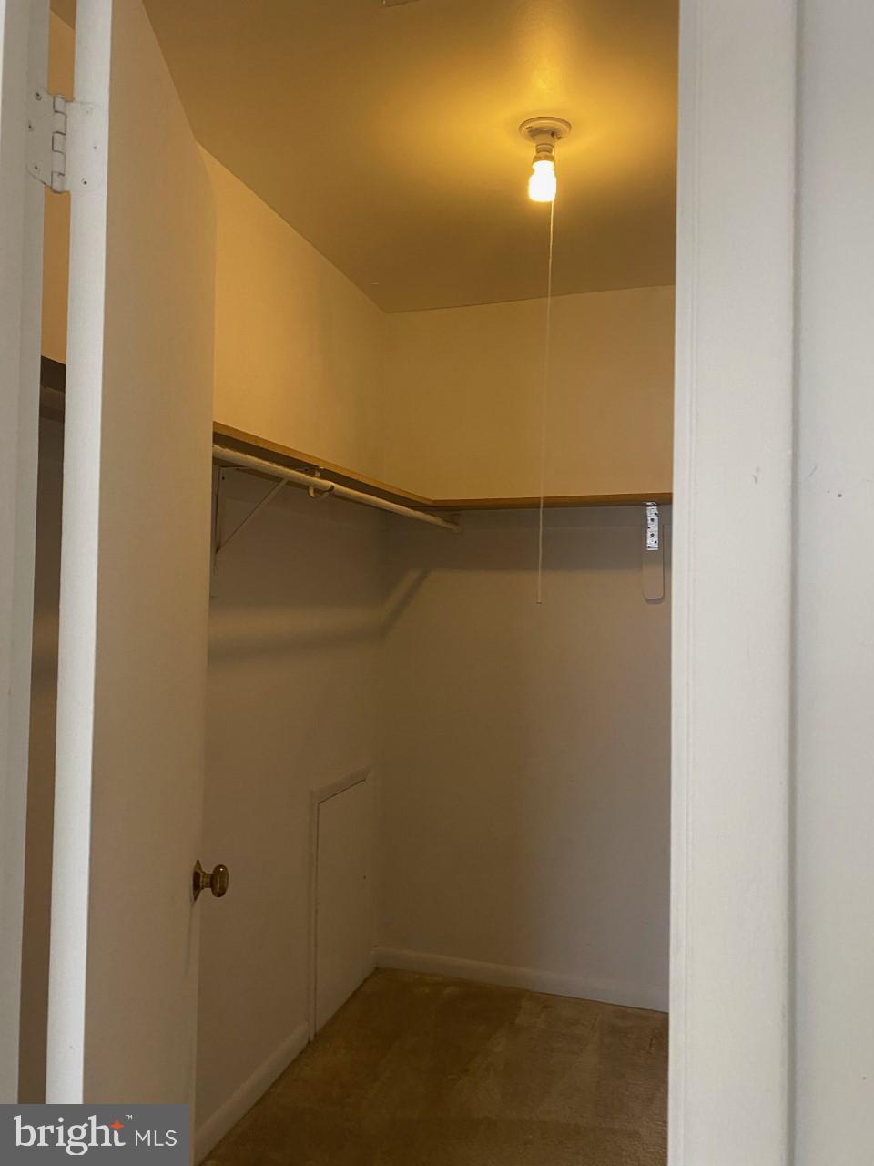 9563 Transfer Row Columbia, MD 21045 - Photo 16 of 18 Master Walk in Closet