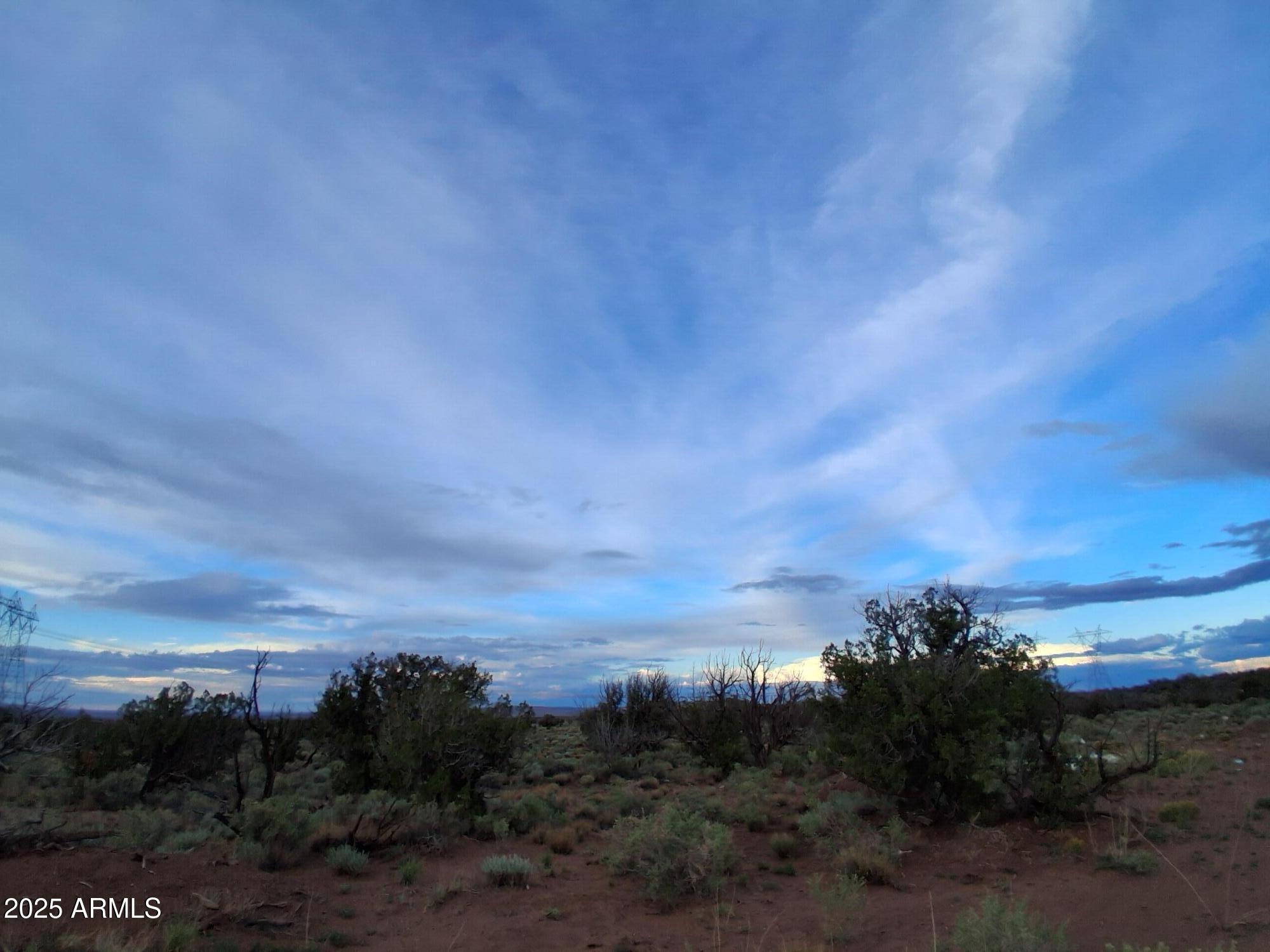 201 County Road Concho, AZ 85924 - Photo 22 of 24