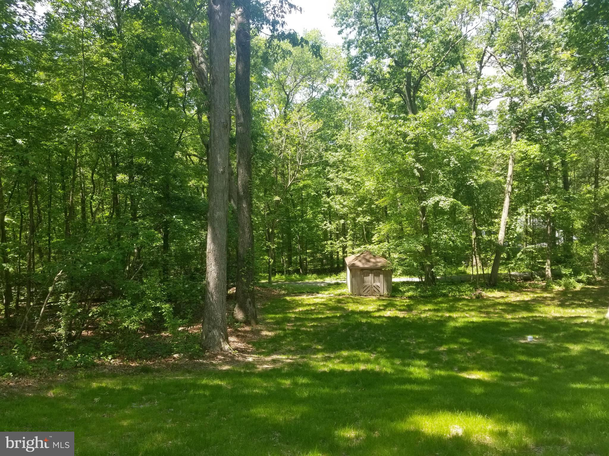 2432 Houcks Mill Road Monkton, MD 21111 - Photo 3 of 4 PRIVATE BACK YARD
