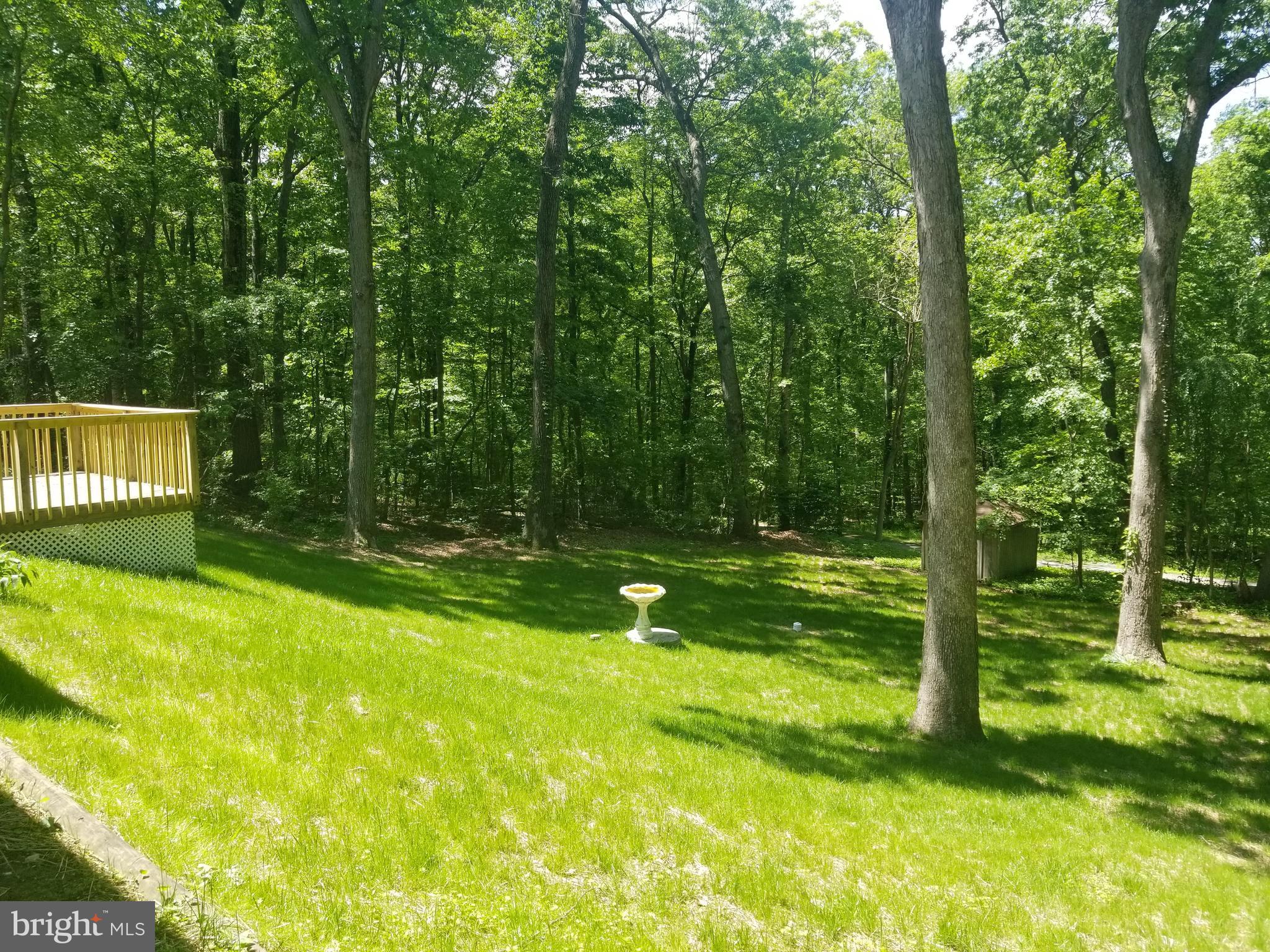 2432 Houcks Mill Road Monkton, MD 21111 - Photo 4 of 4 WOODED BACK YARD
