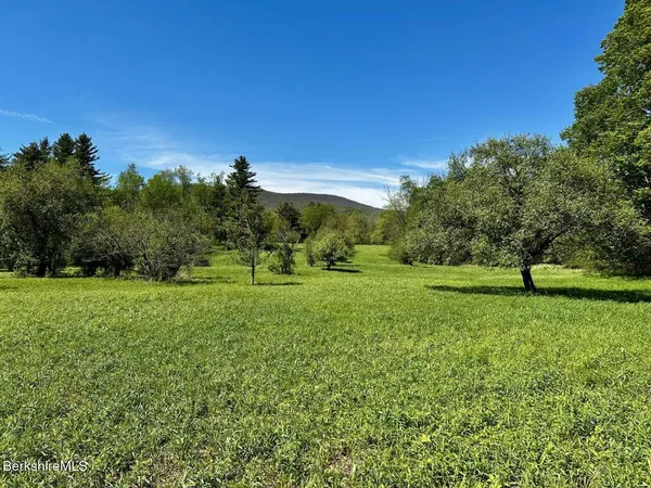 a view of a green field with trees