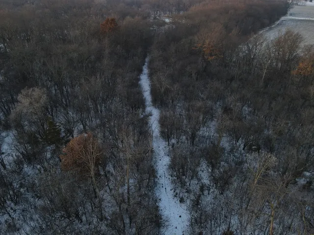 a view of mountains in a yard