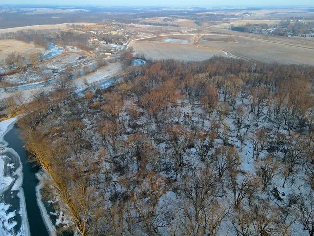 a view of a dry yard with trees in the background