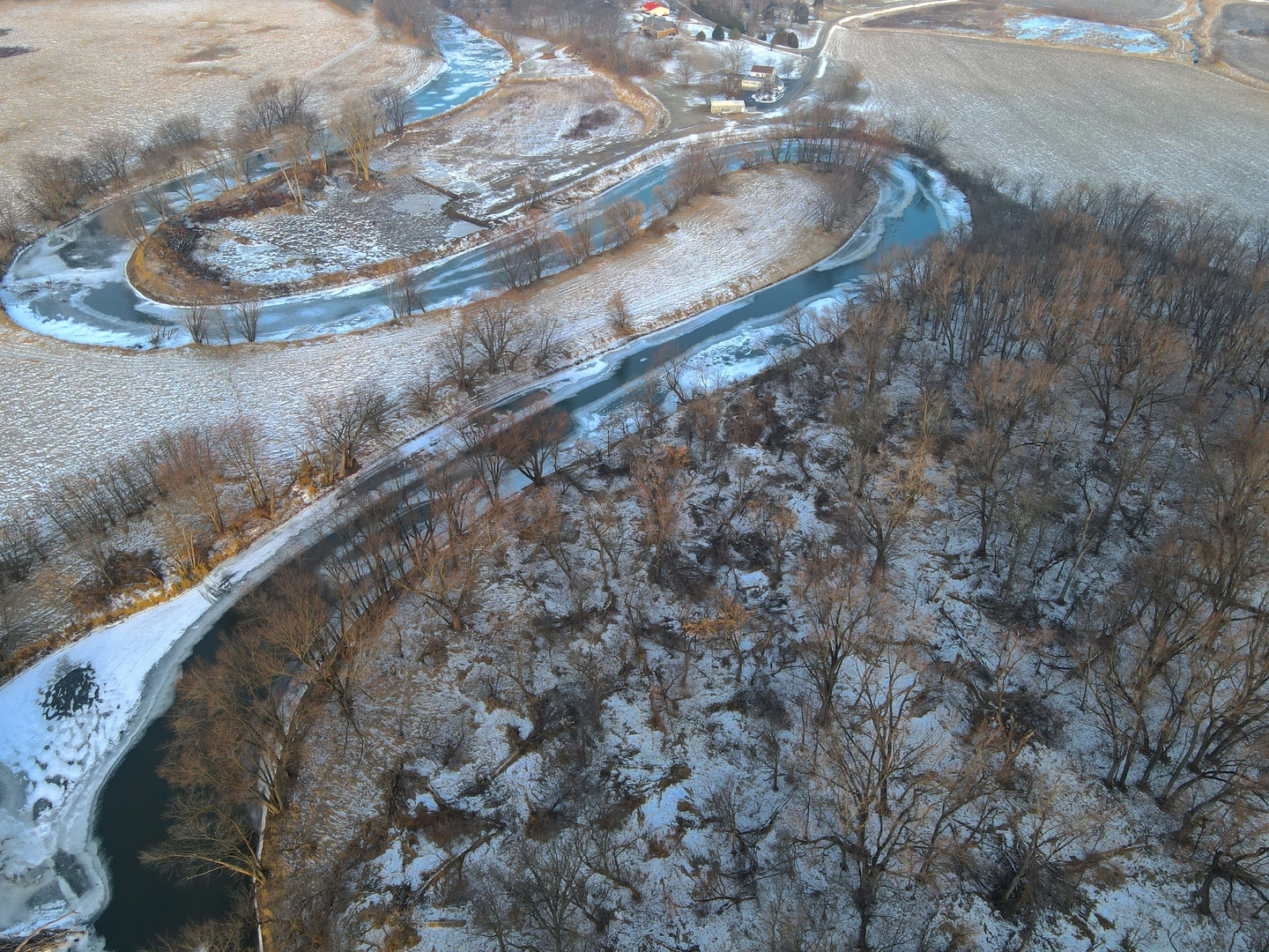 0 Us Bypass Freeport, IL 61032 - Photo 19 of 43 a picture of a tree in a yard