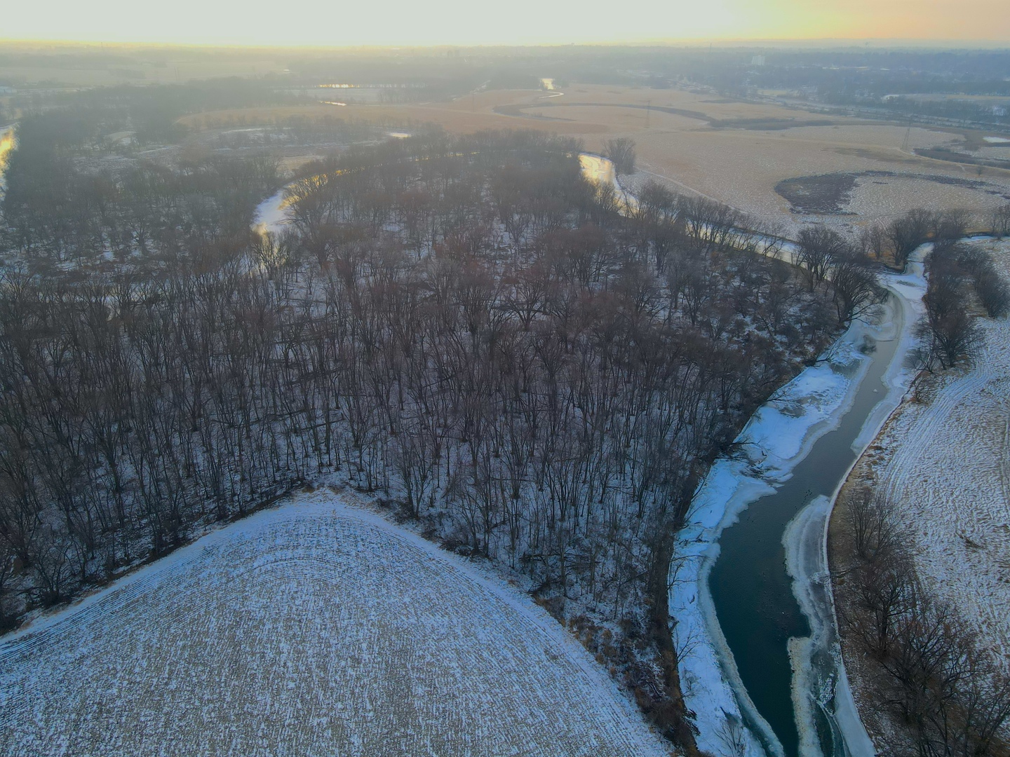 0 Us Bypass Freeport, IL 61032 - Photo 20 of 43 a view of a dry yard with wooden fence
