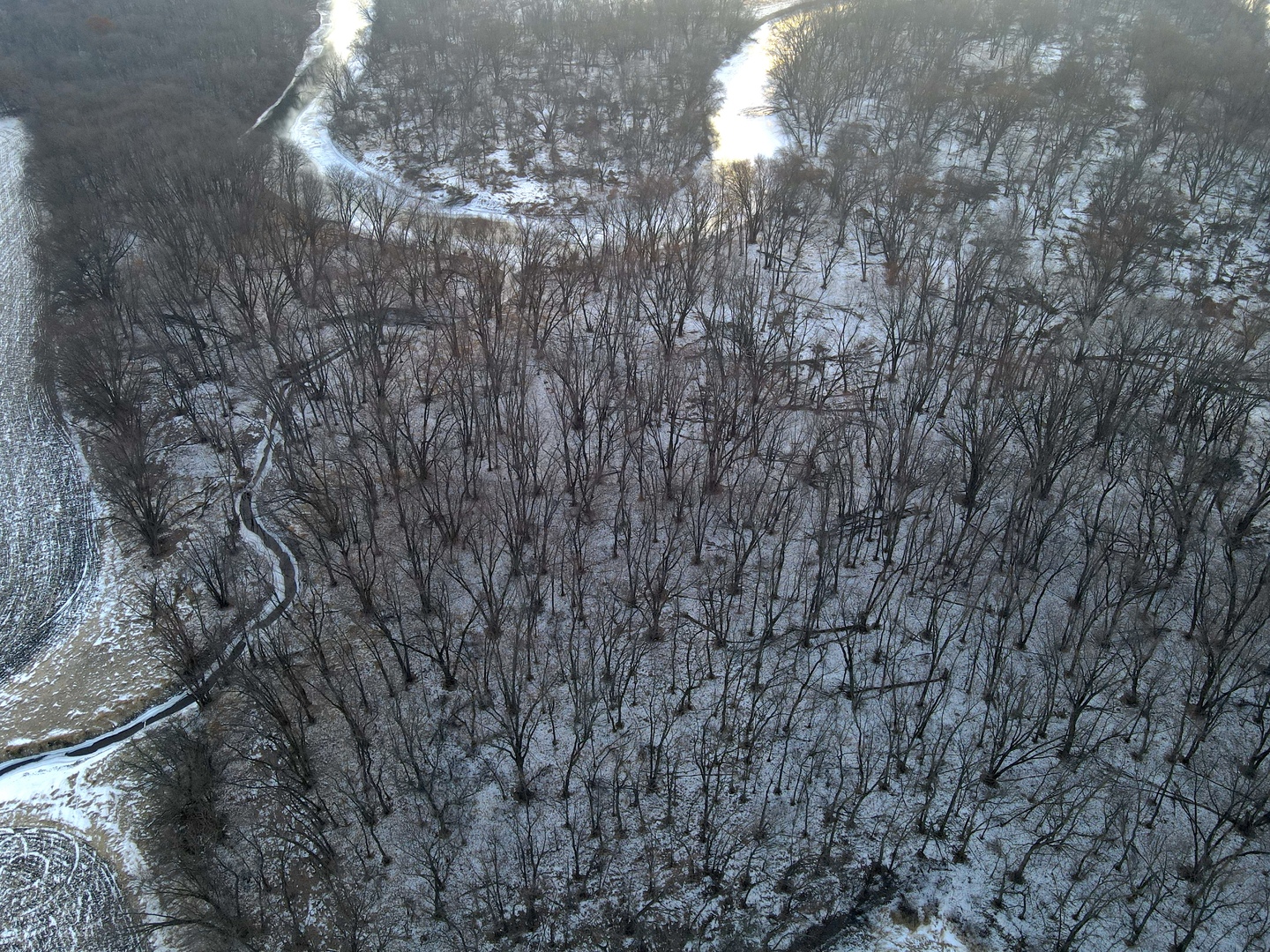 0 Us Bypass Freeport, IL 61032 - Photo 22 of 43 a picture of tree