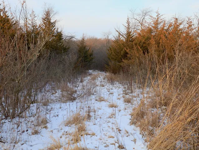 a view of a yard covered with snow