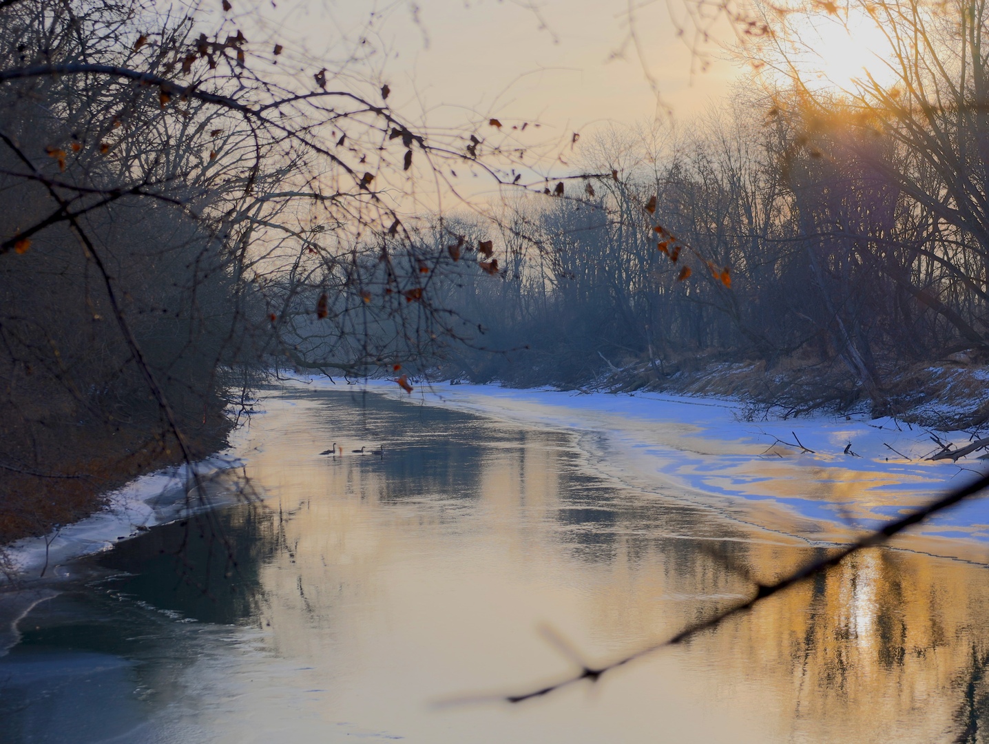 0 Us Bypass Freeport, IL 61032 - Photo 30 of 43 a view of swimming pool with a yard