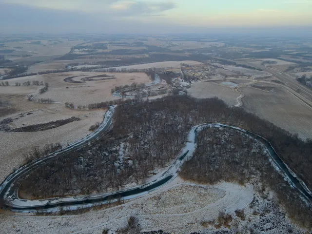 a view of a dry yard